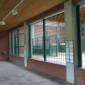 Giraffe House Interior at Tierpark Berlin, 30/08/11