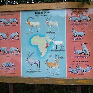 Oryx and Addax Sign at Tierpark Berlin, 30/08/11