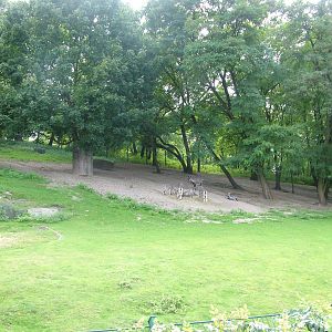Bharal Paddock at Tierpark Berlin, 30/08/11