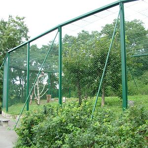 Eagle Aviary at Tierpark Berlin, 30/08/11