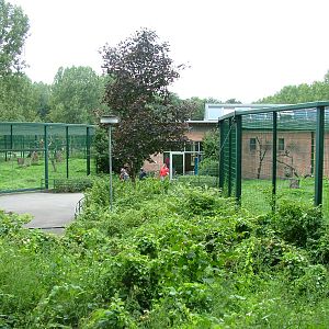 Monkey House at Tierpark Berlin, 30/08/11