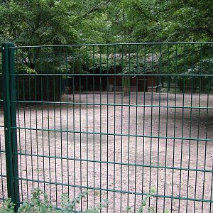 Deer Paddock at Tierpark Berlin, 30/08/11