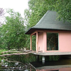 Lemur House at Tierpark Berlin, 30/08/11
