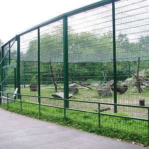 Macaque Exhibit at Tierpark Berlin, 30/08/11