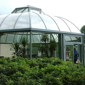 Giant Tortoise House at Tierpark Berlin, 30/08/11