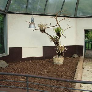 Giant Tortoise House at Tierpark Berlin, 30/08/11