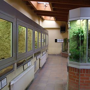 Terrarium Interior at Tierpark Berlin, 30/08/11