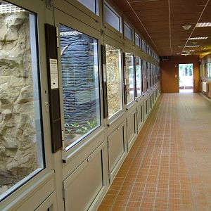 Terrarium Interior at Tierpark Berlin, 30/08/11