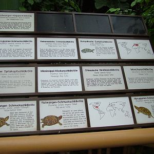Turtle Signage at Tierpark Berlin, 30/08/11
