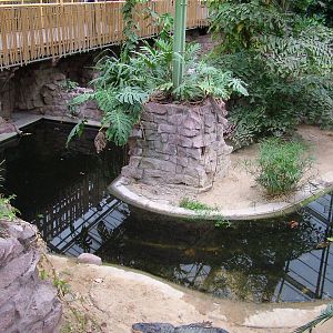 Crocodile House Interior at Tierpark Berlin, 30/08/11