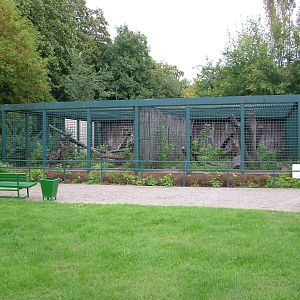 Malayan Sun Bear Exhibit at Tierpark Berlin, 30/08/11