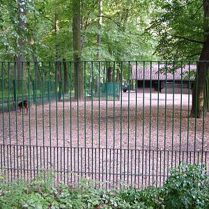 Deer Paddock at Tierpark Berlin, 30/08/11