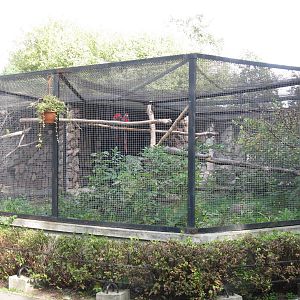 Macaw's Aviary