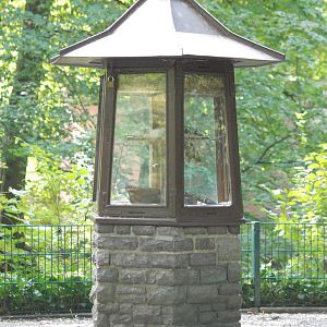 Domestic Mouse Exhibit at Tierpark Berlin, 01/09/11