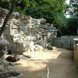 Porcupine Exhibit at Tierpark Berlin, 01/09/11