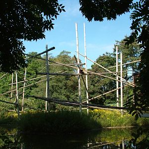Gibbon Island at Tierpark Berlin, 01/09/11
