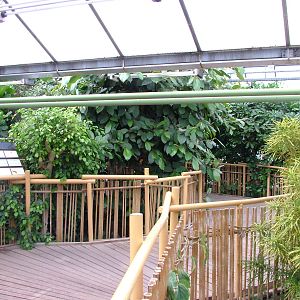 Free-flight Area at Tierpark Berlin, 01/09/11