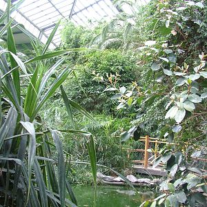 Free-flight Area at Tierpark Berlin, 01/09/11