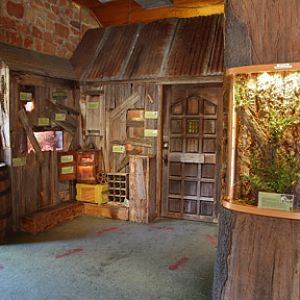 bug house interior
