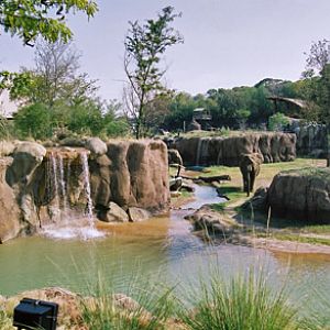 elephant exhibit