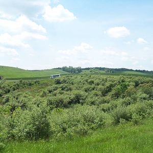 Enclosed Safari Tour