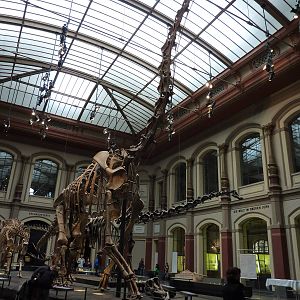 Berlin Museum fur Naturkunde - Main hall