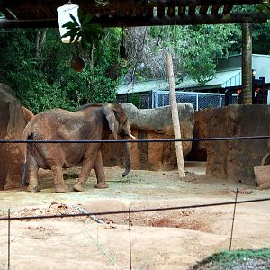 AZA 9-17-11 Atlanta Zoo