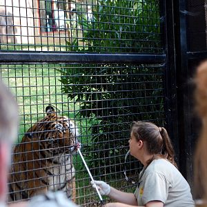 AZA 9-17-11 Atlanta Zoo