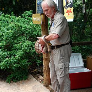 AZA 9-17-11 Atlanta Zoo