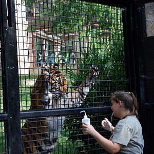 AZA 9-17-11 Atlanta Zoo