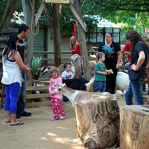 AZA 9-17-11 Atlanta Zoo