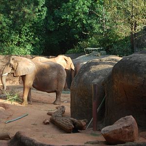 AZA 9-17-11 Atlanta Zoo