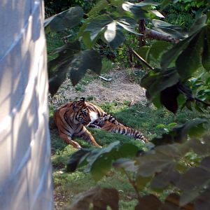 AZA 9-17-11 Atlanta Zoo