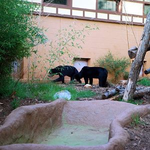 AZA 9-17-11 Atlanta Zoo