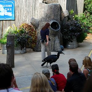 AZA 9-17-11 Atlanta Zoo