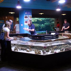 AZA 9-13-11 Georgia Aquarium
