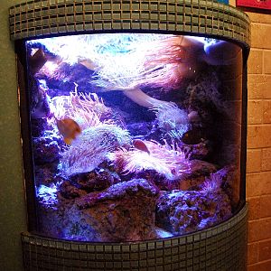 AZA 9-13-11 Georgia Aquarium