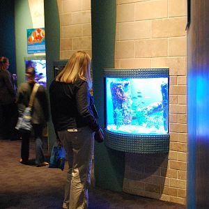 AZA 9-13-11 Georgia Aquarium