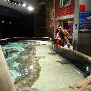 AZA 9-13-11 Georgia Aquarium