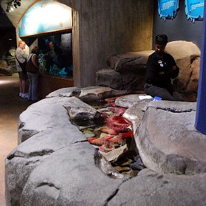 AZA 9-13-11 Georgia Aquarium