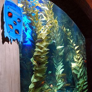 AZA 9-13-11 Georgia Aquarium