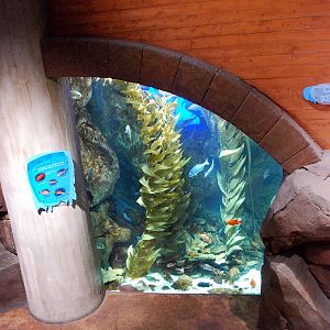 AZA 9-13-11 Georgia Aquarium