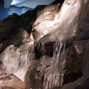 AZA 9-13-11 Georgia Aquarium