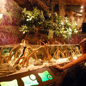 AZA 9-13-11 Georgia Aquarium