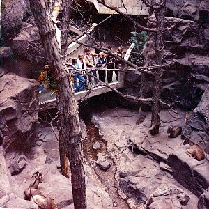 Various Minnesota Zoo in the 70's