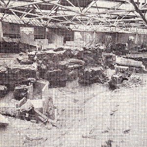 Various Minnesota Zoo in the 70's