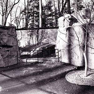 Various pictures of National Zoo in the 70's