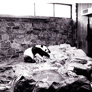 Various pictures of National Zoo in the 70's