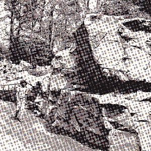 Various pictures of National Zoo in the 70's