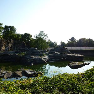 Polar bear enclosure
